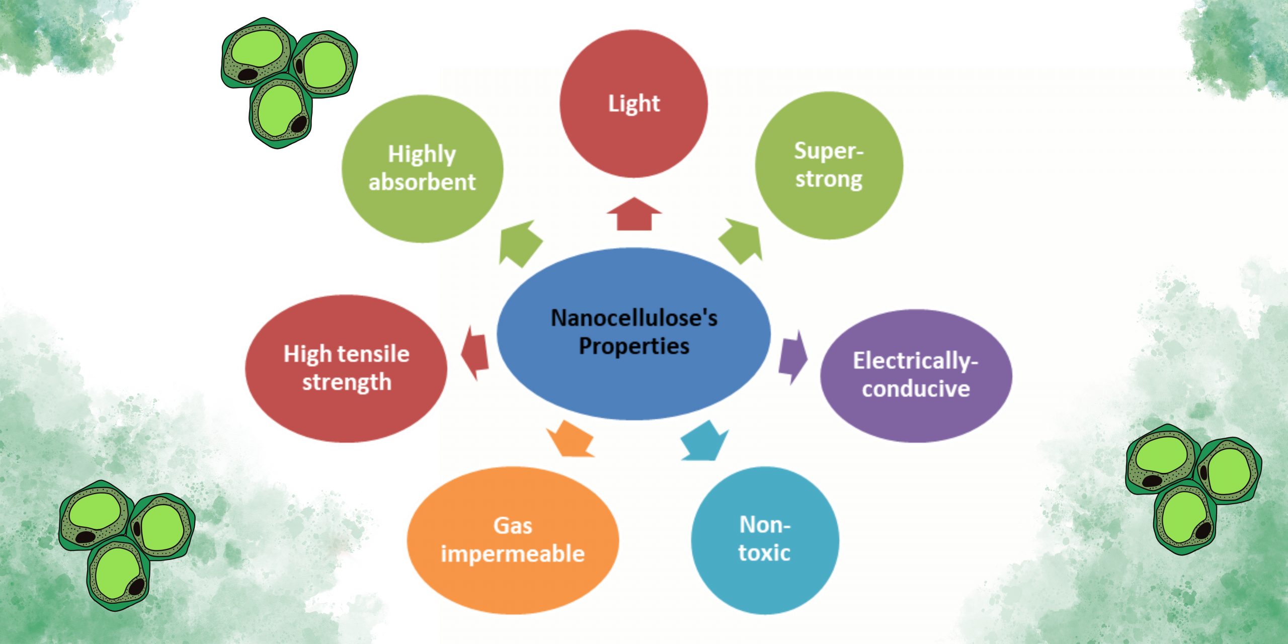 Nanocellulose Nanotechonology